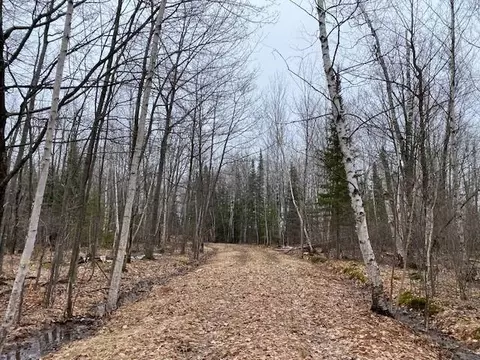 0 Bark Point Rd, Herbster, WI 54844 photo 18