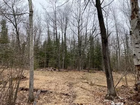 0 Bark Point Rd, Herbster, WI 54844 photo 11
