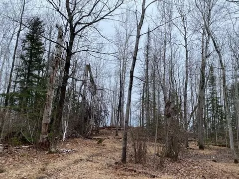 0 Bark Point Rd, Herbster, WI 54844 photo 8