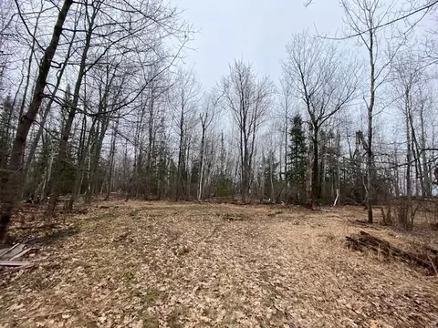 0 Bark Point Rd, Herbster, WI 54844 photo 10