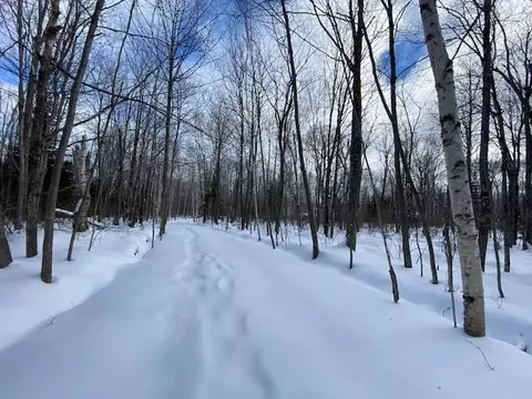 0 Bark Point Rd, Herbster, WI 54844 photo 29