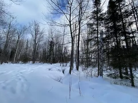 0 Bark Point Rd, Herbster, WI 54844 photo 33