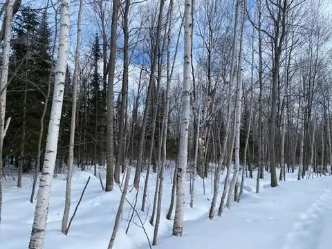 0 Bark Point Rd, Herbster, WI 54844 photo 31