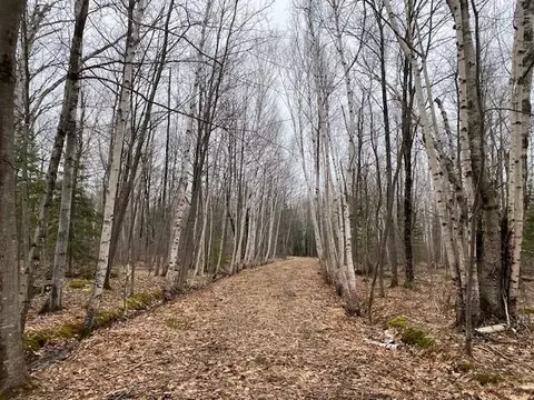 0 Bark Point Rd, Herbster, WI 54844 photo 17