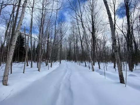 0 Bark Point Rd, Herbster, WI 54844 photo 28