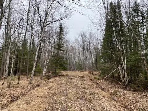 0 Bark Point Rd, Herbster, WI 54844 photo 19