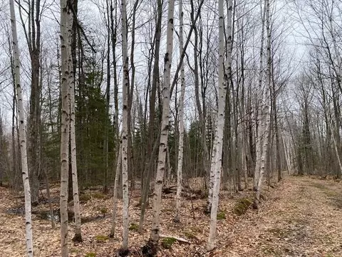 0 Bark Point Rd, Herbster, WI 54844 photo 12