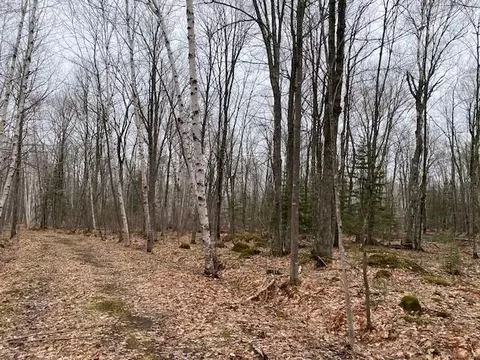 0 Bark Point Rd, Herbster, WI 54844 photo 15