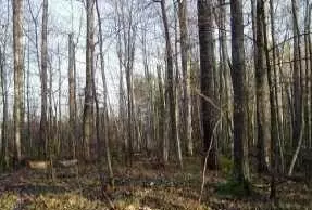 0 Trails End Ln, Hayward, WI 54843