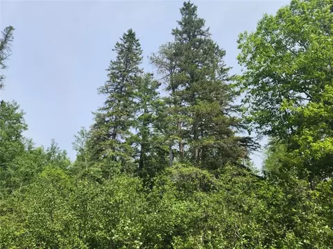 12245 Lot B Cable Sunset Rd, Cable, WI 54821 photo 11