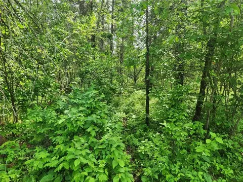 12245 Lot C Cable Sunset Rd, Cable, WI 54821 photo 2