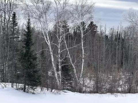 0 State Hwy 70, Winter, WI 54896