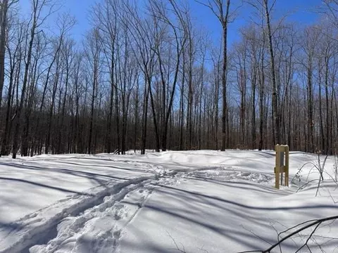 0 Hideaway Ln #LOT 4, Couderay, WI 54828