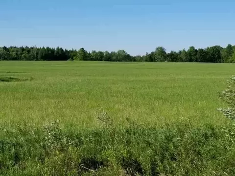 w2749 Fawn Avenue, Rib Lake, WI 54470