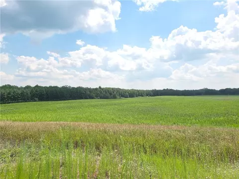 1 Nn County Rd N, Boyceville, WI 54725