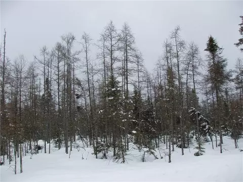 Off Hwy 182, Park Falls, WI 54552