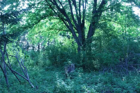 Lot 10 164th Street, Chippewa Falls, WI 54729