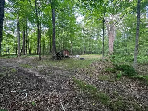 Lots 13 & 14 Loch Lomond, Birchwood, WI 54817