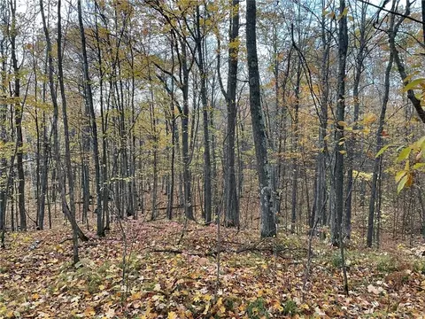 Lot 42 Off Birken Trail Road, Hayward, WI 54843