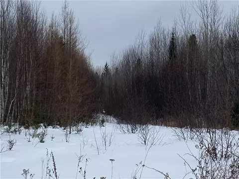 On Right Of Way Road Road, Butternut, WI 54514