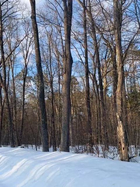 Lot O John Ericcson Avenue, Hayward, WI 54843
