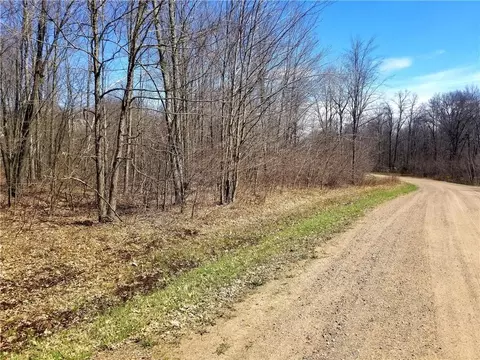 Nnn Crystal Waters Ct, Willard, WI 54493
