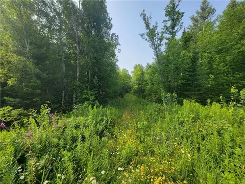 158 86 Acres Hwy W, Winter, WI 54896