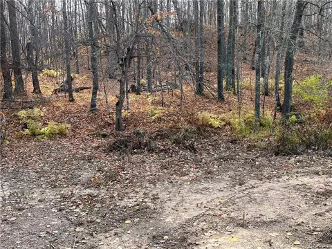 2 Parcels Wilderness Hls, Luck, WI 54840 photo 4
