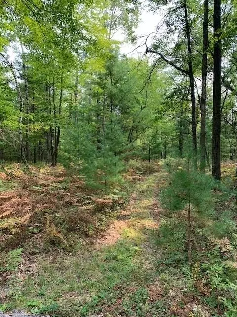 Lot 7 County Road J, Neillsville, WI 54456