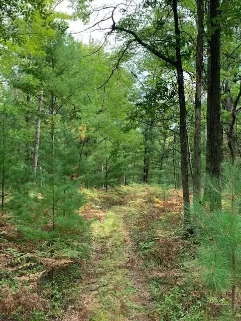 Lots 8 & 9 County Road J, Neillsville, WI 54456