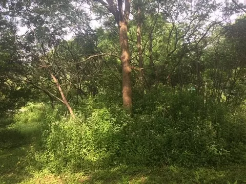 lot1 County Road D, Colfax, WI 54730