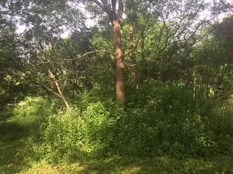 lot2 County Road D, Colfax, WI 54730