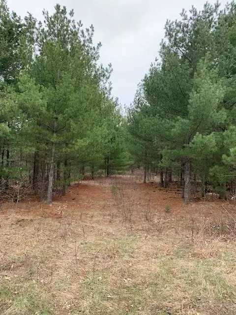 N3330 Pine Street, Millston, WI 54615