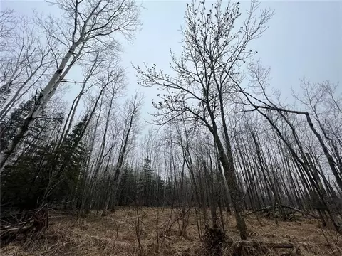 Tbd Highway 13, Maple, WI 54854 photo 30