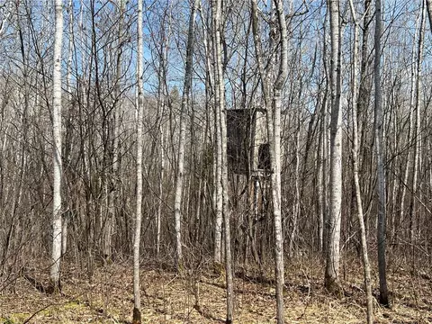 Undisclosed, Maple, WI 54854 photo 23