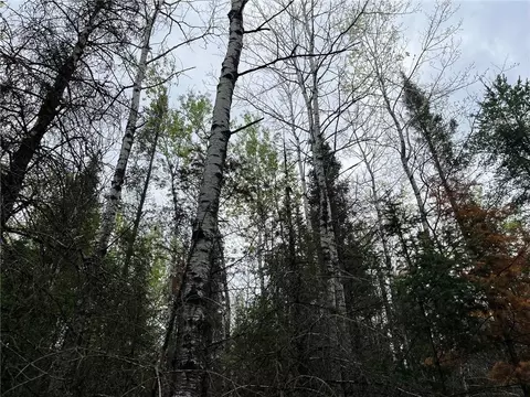 N/a Main Rd, Springbrook, WI 54875 photo 5