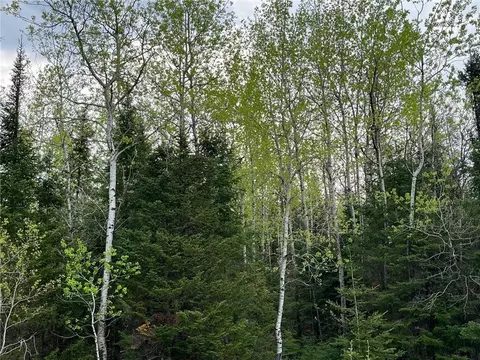 N/a Main Rd, Springbrook, WI 54875