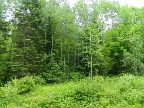 On Price Dam Road, Winter, WI 54896