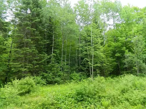 On Price Dam Rd. Road, Winter, WI 54896