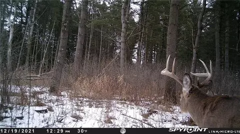 X County V, Ridgeland, WI 54763