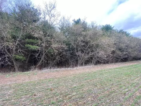 Lot 2 & 3 County B, Osseo, WI 54758