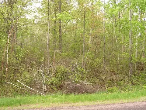 000 Bennor Rd, Bruce, WI 54819 photo 3