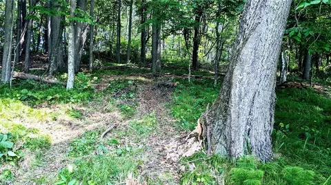 lot1 7 58 Ave, Chetek, WI 54728 photo 18