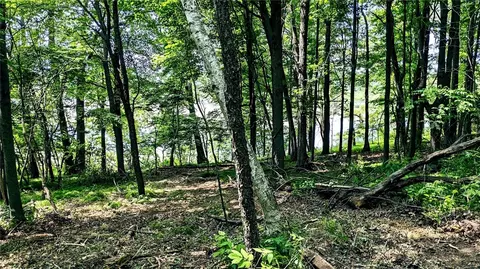 lot1 7 58 Ave, Chetek, WI 54728 photo 15