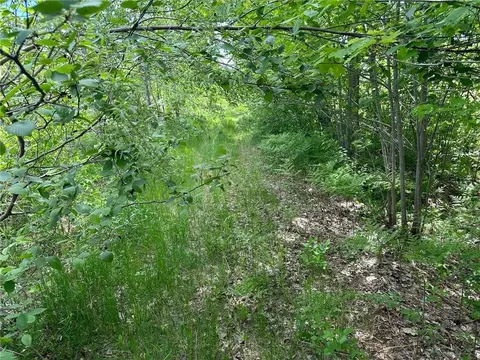 Hwy 35, Webster, WI 54893 photo 5