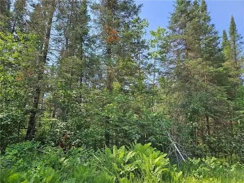 0 Beaver Brook Rd, Radisson, WI 54867 photo 6