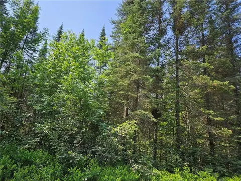 0 Beaver Brook Rd, Radisson, WI 54867