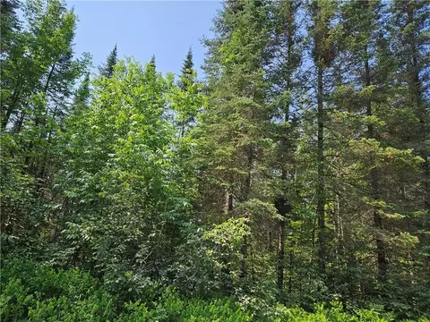 0 Beaver Brook Rd, Radisson, WI 54867 photo 5