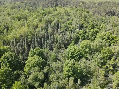 0 Beaver Brook Rd, Radisson, WI 54867 photo 8