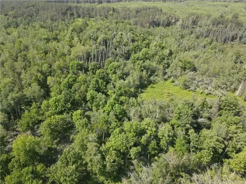 0 Beaver Brook Rd, Radisson, WI 54867 photo 10